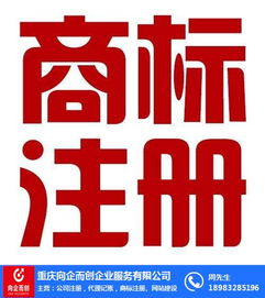 渝中代理記賬 向企而創，在線咨詢助力企業財務無憂
